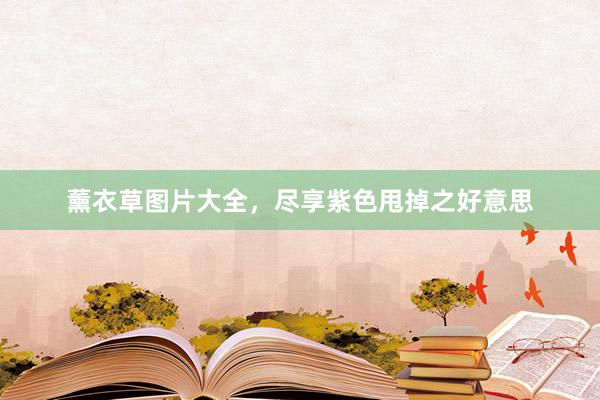 薰衣草图片大全，尽享紫色甩掉之好意思